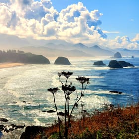 From Portland: Oregon Coast Adventure Day Tour with Pickup | GetYourGuide
