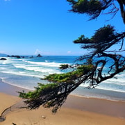 From Portland: Oregon Coast Adventure Day Tour with Pickup | GetYourGuide