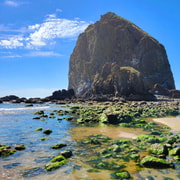 From Portland: Oregon Coast Adventure Day Tour with Pickup | GetYourGuide