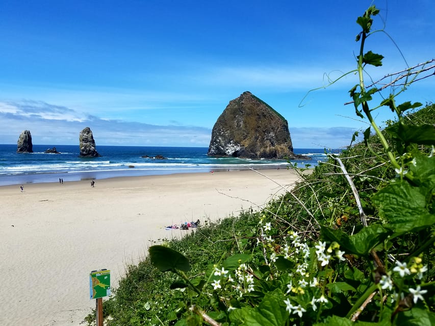 From Portland: Oregon Coast Adventure Day Tour with Pickup | GetYourGuide