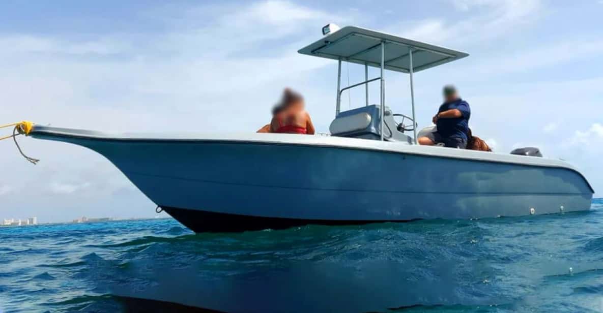 Aruba Private Snorkel Tour GetYourGuide