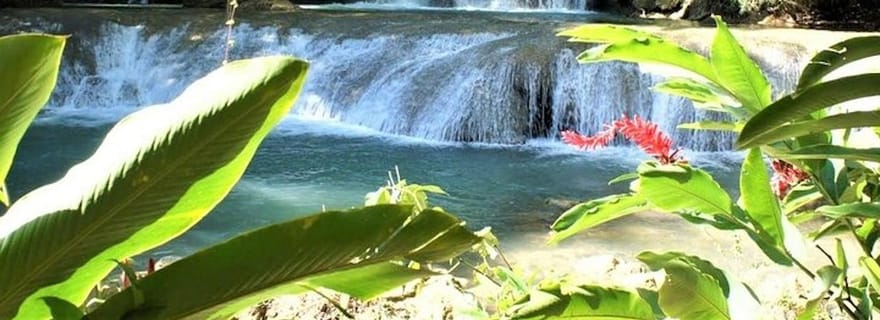 Negril : Safari sur la rivière noire et visite des chutes d'YS avec déjeuner