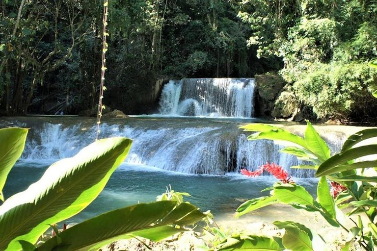 Negril: Safari sul fiume Nero e tour delle cascate YS con pranzo