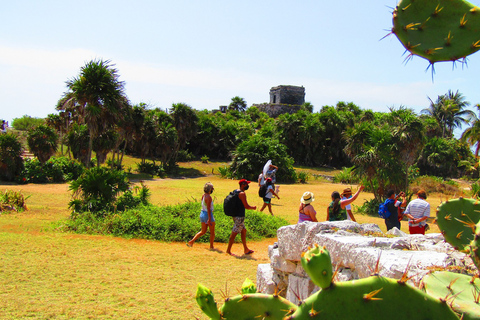 TOUR 4X1 REGULAR | TULUM, COBA, CENOTE & PLAYA DEL CARMEN