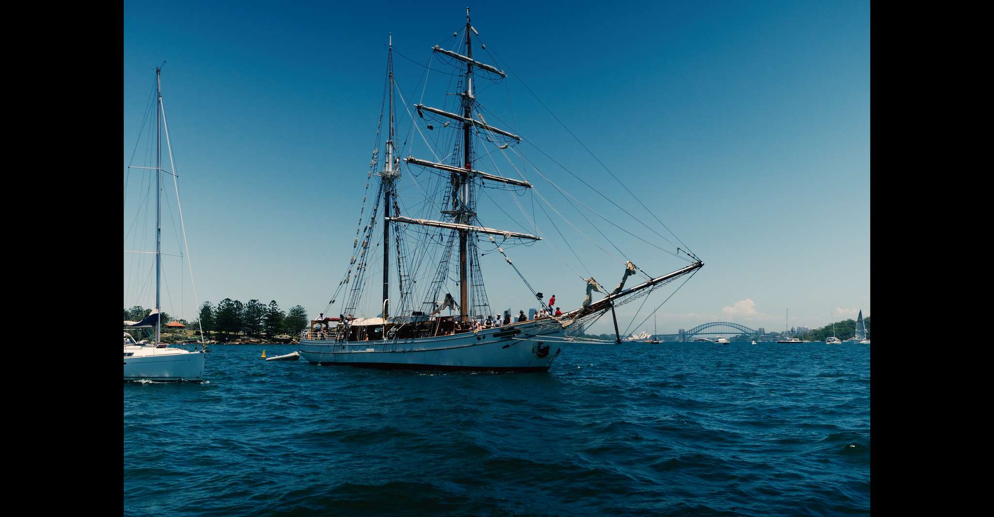 Sydney, crociera sul tramonto del porto con cena - Hizvo