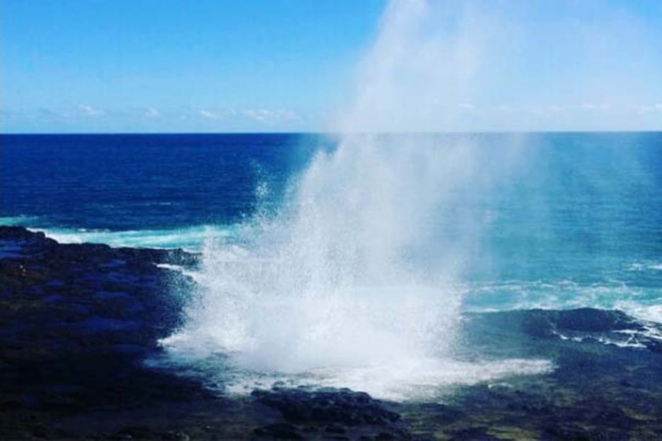 Kauai: Excursión de un día al Cañón de Waimea y Aventura en las Cascadas