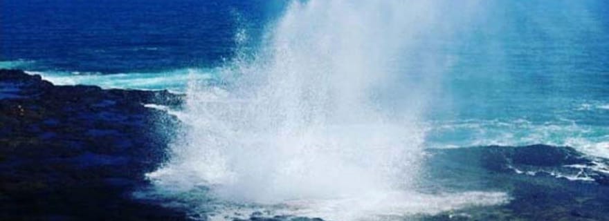 Kauai : Excursion d'une journée au canyon de Waimea et aux chutes d'eau
