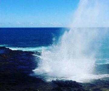 Kauai: Tour di un giorno del canyon di Waimea e delle cascate