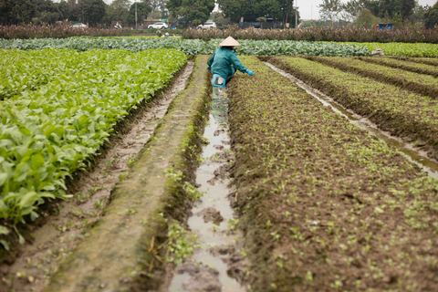 Photo Tour: Hanoi Rice Fields