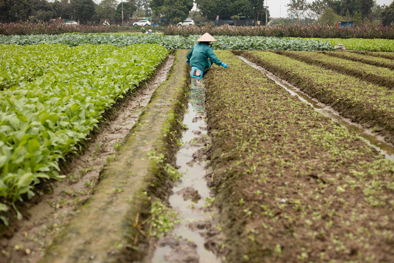 Photo Tour: Hanoi Rice Fields