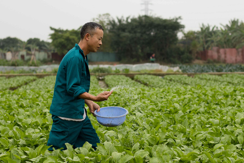 Photo Tour: Hanoi Rice Fields