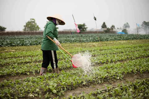 Photo Tour: Hanoi Rice Fields