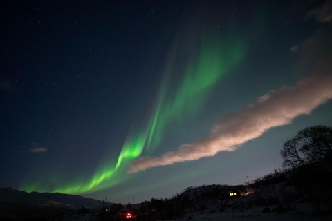 Tromsø: Wycieczka do zorzy polarnej z lokalnym przewodnikiem i lokalnym jedzeniem