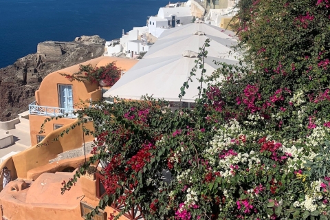 Visita turística privada de Santorini con cata de vinos gratuitaVisita panorámica de Santorini con cata de vinos