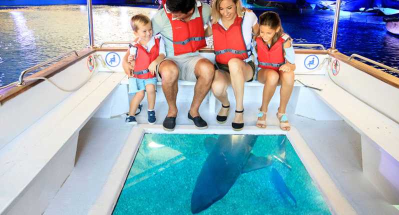 Majorque : Billet pour l'aquarium, les coulisses et le bateau Shark Vision