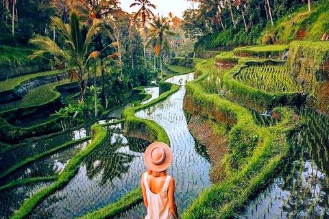 Ubud: Avventura in zip-line, rafting e tour delle terrazze di risoTour con zip-line e terrazze di riso (senza rafting)