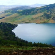 From Dublin: Powerscourt House, Guinness Lake & Glendalough