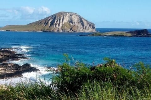 Waimea Waterfalls & Byodo Temple + Full Day Oahu Tour