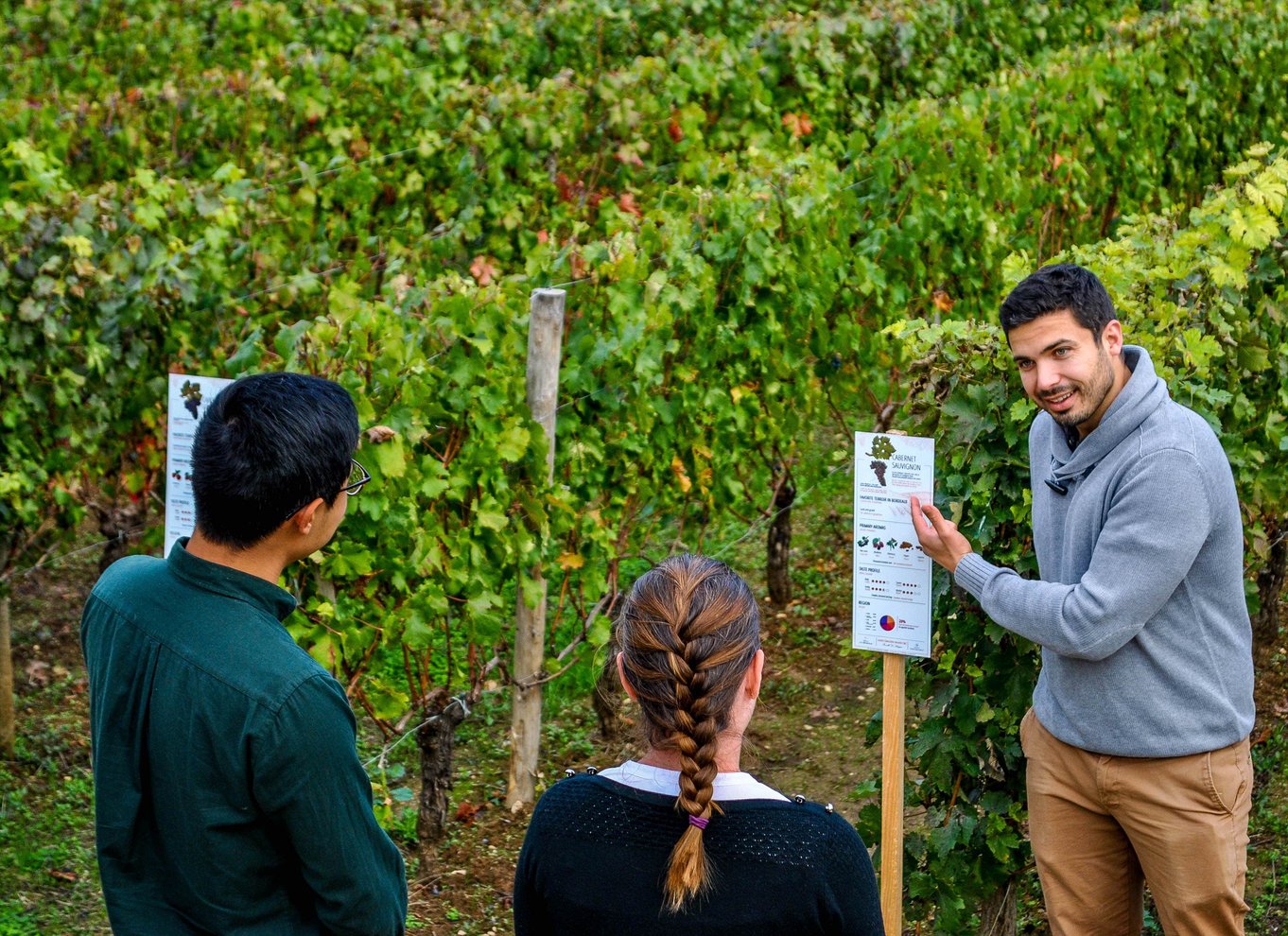 Saint-Émilion: Grand Cru Classé vingårdsbesøg og smagning