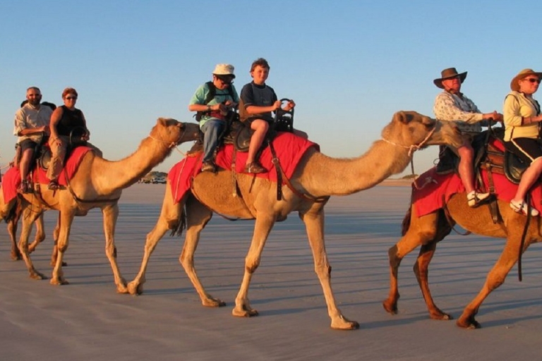 Luksor: przejażdżka na wielbłądach i koniach