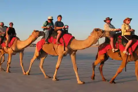 Luxor: Scenic Camel or Horse Ride