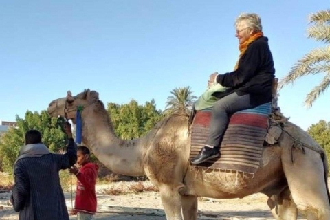 Luxor: Kamel- und Pferderitt