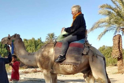 الأقصر: ركوب الجمال أو الخيل ذات المناظر الخلابة