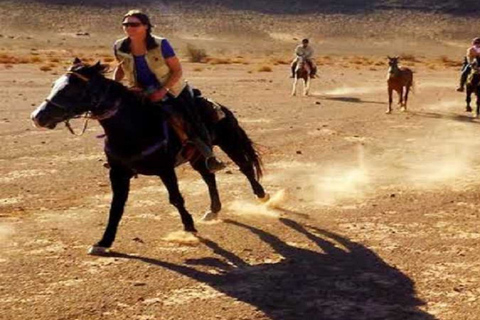 الأقصر: ركوب الجمال أو الخيل ذات المناظر الخلابة