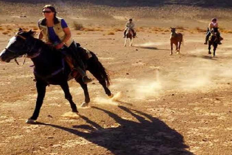 الأقصر: ركوب الجمال أو الخيل ذات المناظر الخلابة