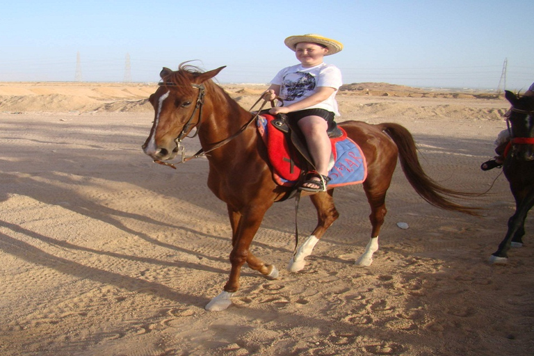 الأقصر: ركوب الجمال أو الخيل ذات المناظر الخلابة