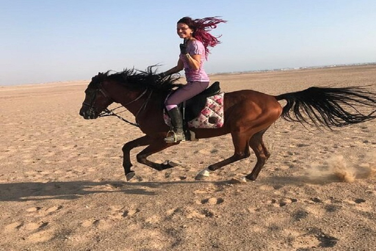 الأقصر: ركوب الجمال أو الخيل ذات المناظر الخلابة