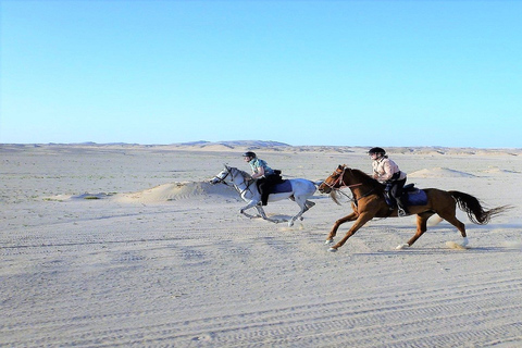 الأقصر: ركوب الجمال أو الخيل ذات المناظر الخلابة