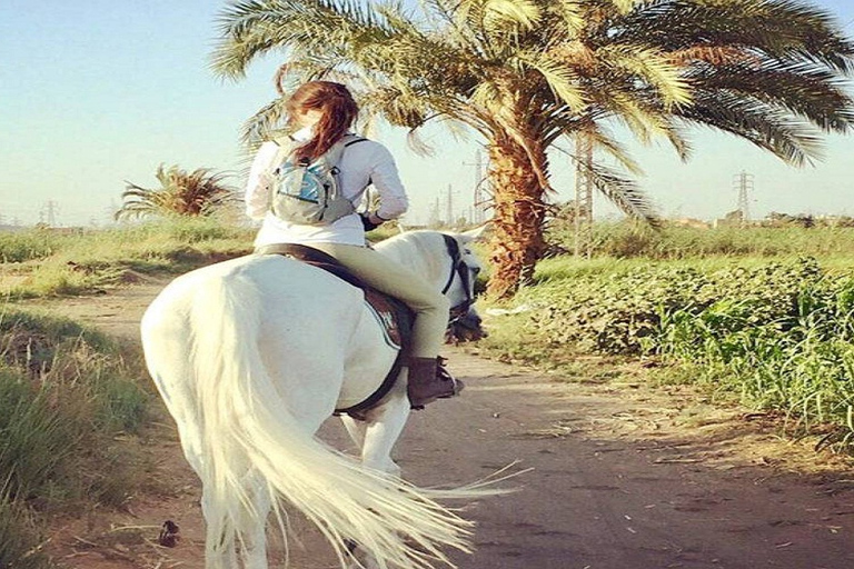 الأقصر: ركوب الجمال أو الخيل ذات المناظر الخلابة