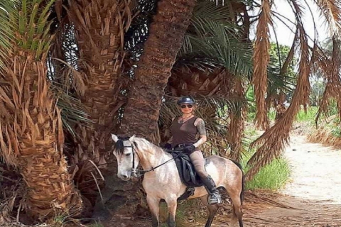 Luxor: Kamel- und Pferderitt