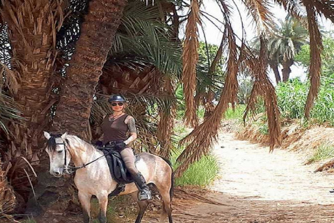 الأقصر: ركوب الجمال أو الخيل ذات المناظر الخلابة