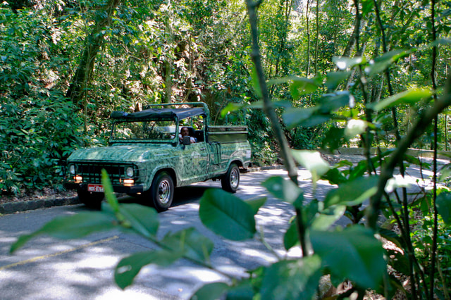 Rio: Jeep Tour with Corcovado, Tijuca Forest and Sta Teresa
