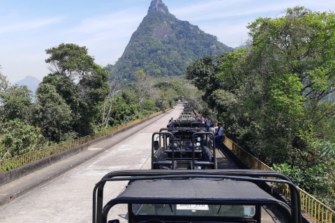 Jeep Tour Corcovado With Tijuca Rain Forest And Santa Teresa