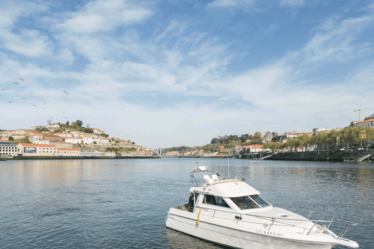 Porto: Private Douro River Sunset CruiseVila Nova de Gaia: Private Douro River Sunset Cruise