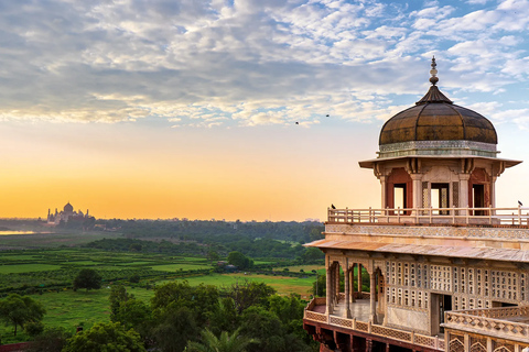 Från Delhi: 5-dagars Tiger Safari &amp; Gyllene triangeln-turTransport med endast förare och guide