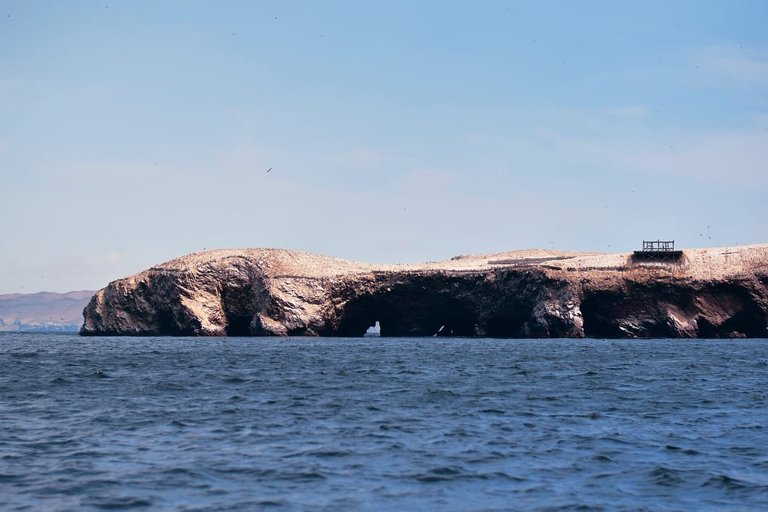 Depuis Lima : îles Ballestas, oasis de Huacachina et vignobles