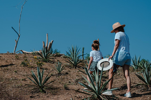 Huatulco: Mezcal and Gastronomic Tour The Ancestral Flavor: Mezcal and Gastronomic Tour