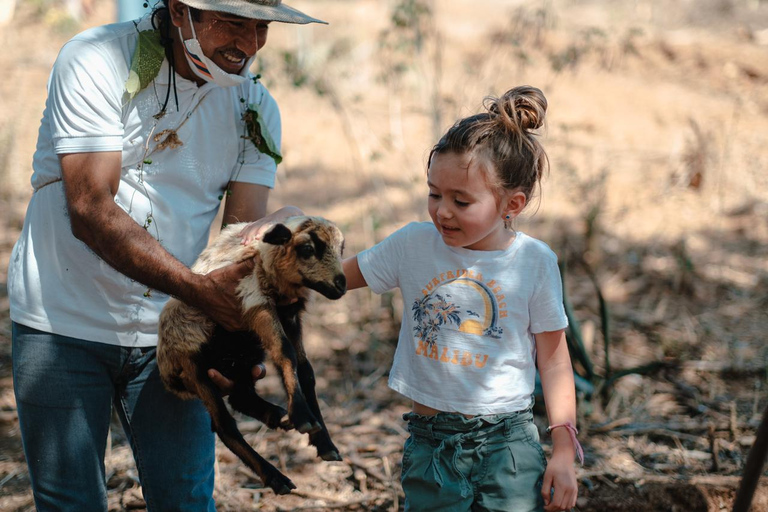 Huatulco: Mezcal and Gastronomic Tour The Ancestral Flavor: Mezcal and Gastronomic Tour