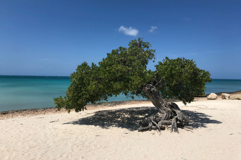 Aruba: En lycklig ö Road Trip Route via mobilapp