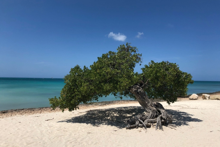 Aruba: Un viaje por carretera por la isla feliz a través de una aplicación móvil