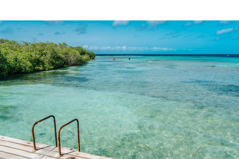 Aruba: Un viaje por carretera por la isla feliz a través de una aplicación móvil