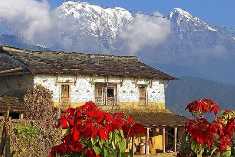 Pokhara: Excursión de un día a las estribaciones del Annapurna