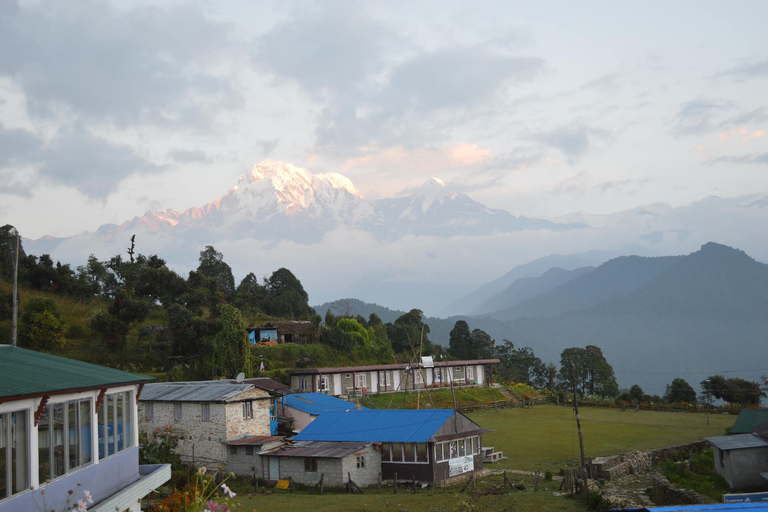 Pokhara : Journée de randonnée sur les contreforts de l'Annapurna