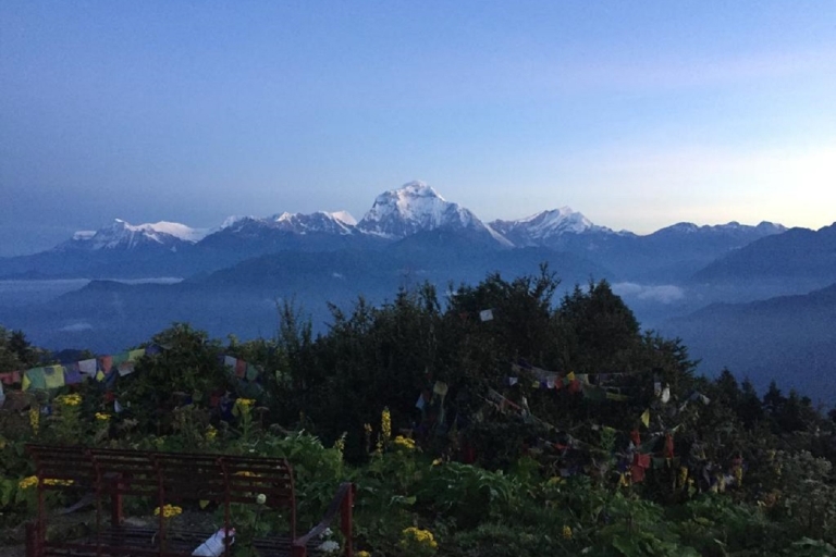 Pokhara : 4 jours Poon Hill Annapurna Panorama Trek