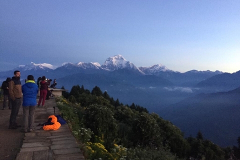 Pokhara: 4 Tage Poon Hill Annapurna Panorama Trek