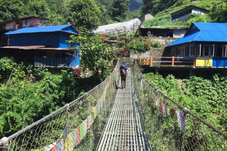 Pokhara: 4 dni Poon Hill Annapurna Panorama Trek